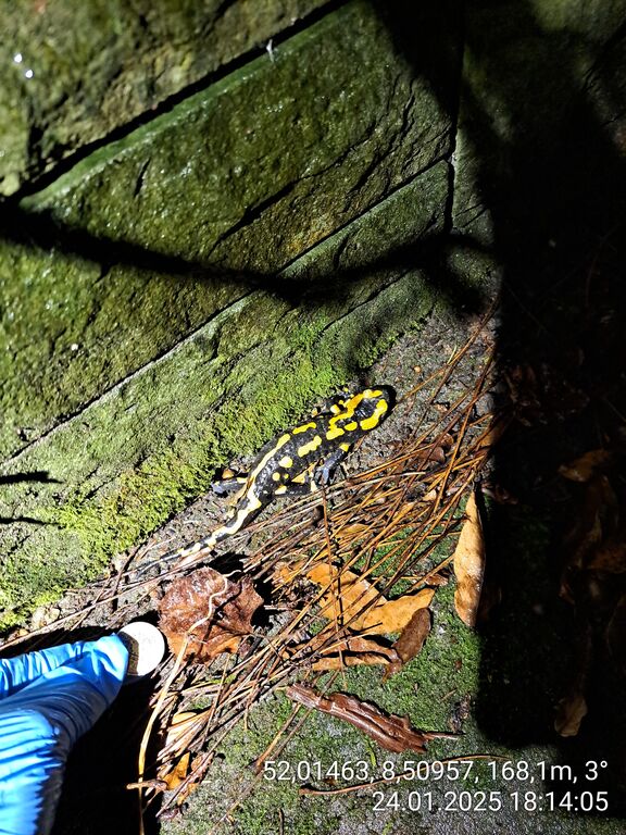 aae1e971-5555-4a5c-b2c6-fc47fe4e22ee