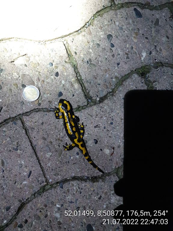 e7e0a1e9-991c-44fb-b25d-06b8650658ef