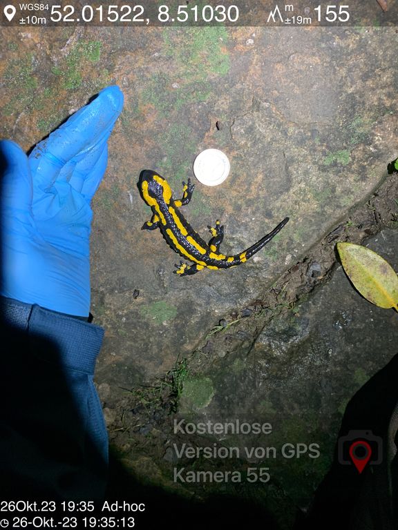 d9cc2a5f-89f4-4f4f-abcb-873c66810a24