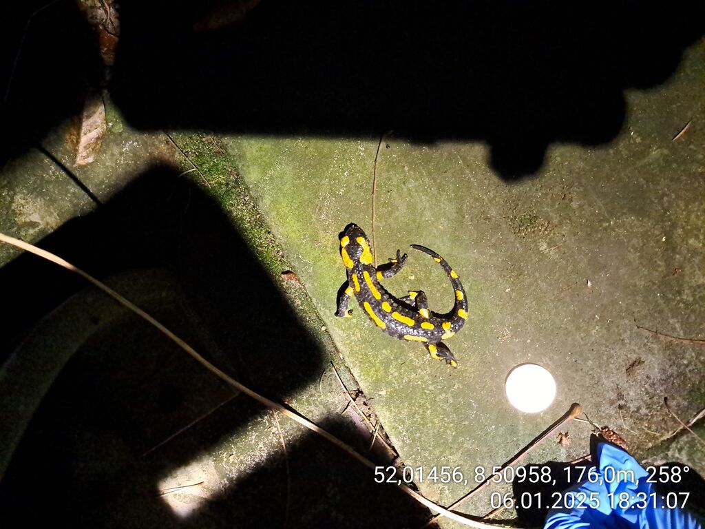 97bd1c0b-0a6b-4302-914e-129539b3cef2