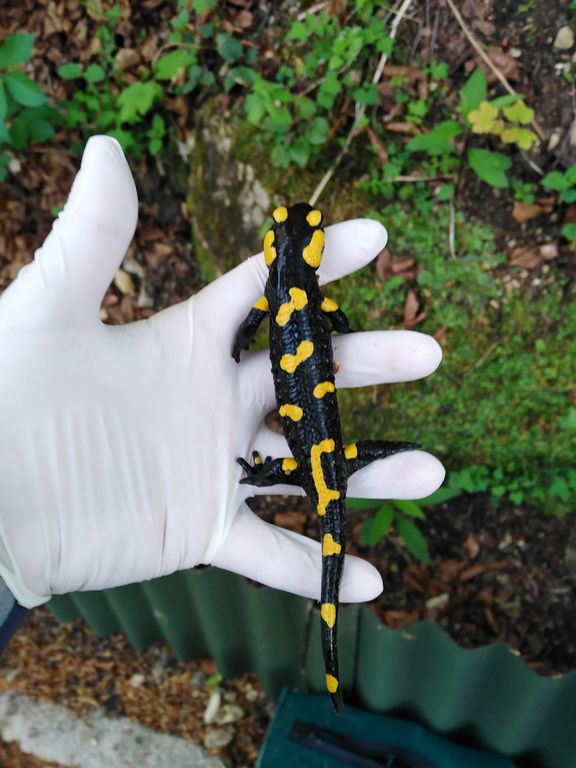 52d7f449-a99a-4cd0-ad6a-3c9a8f9a107d