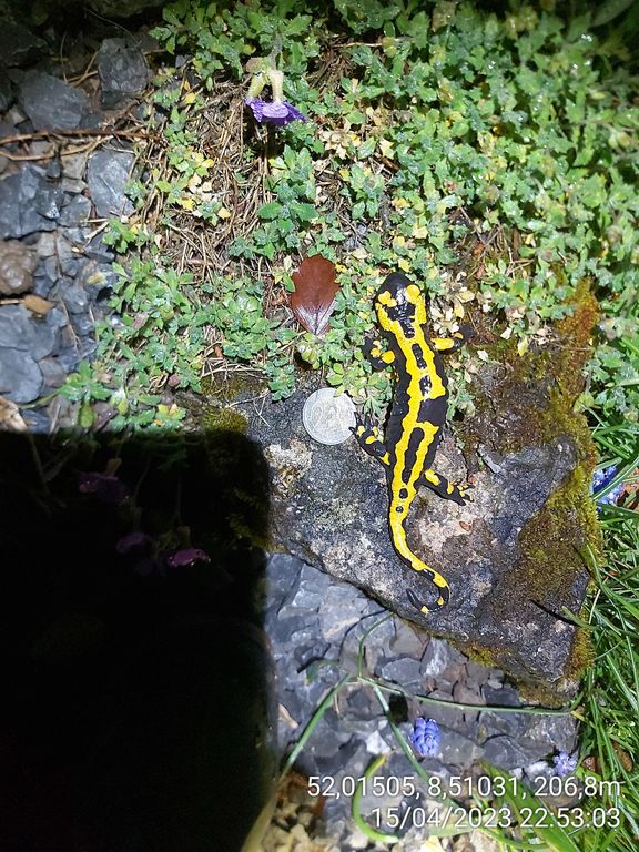 b5d56151-1017-43c9-ae8f-df486e05a54d