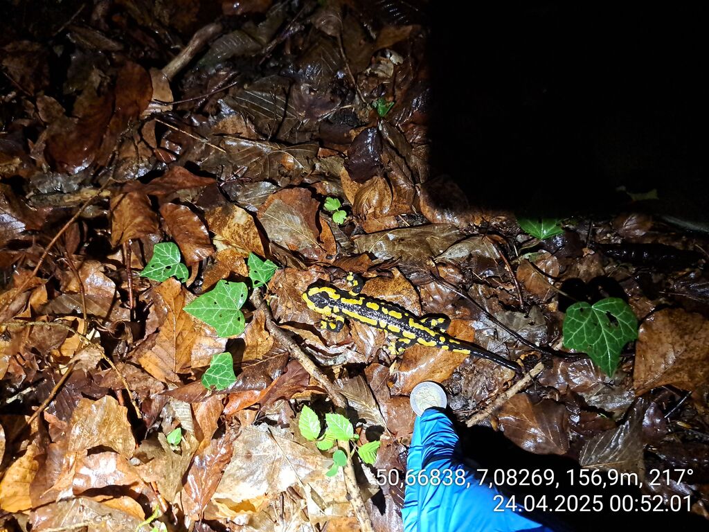 271d89be-8e50-4371-b329-d6b6f55ed83e