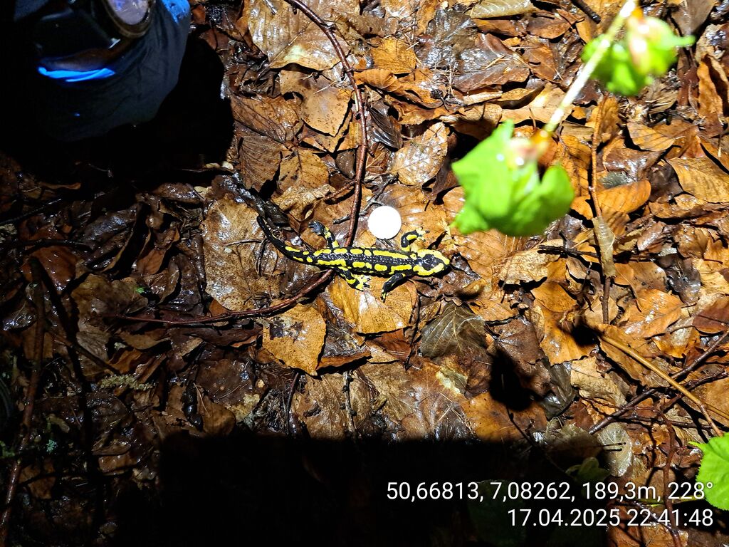 271d89be-8e50-4371-b329-d6b6f55ed83e