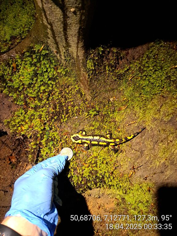 34dba8ce-d0da-4673-b27e-c7752e253bdf