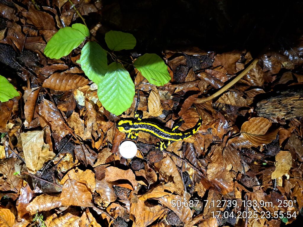 689c7f7d-45c5-477a-9b22-61d7e646d755