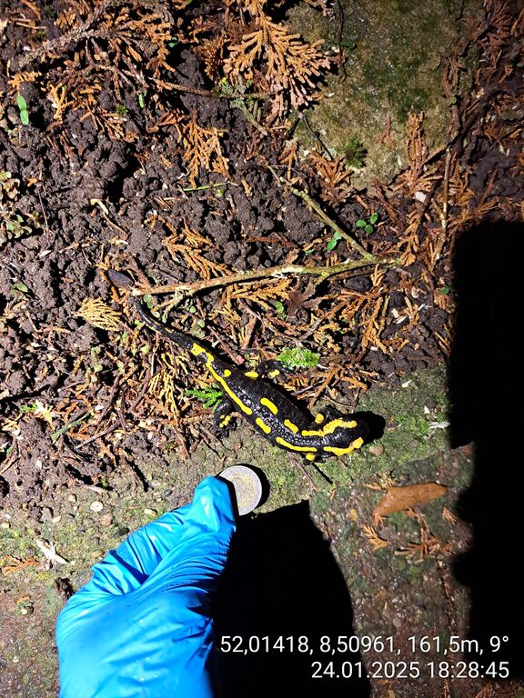 6727240a-2ddc-4c37-9324-96ba95d6e8af