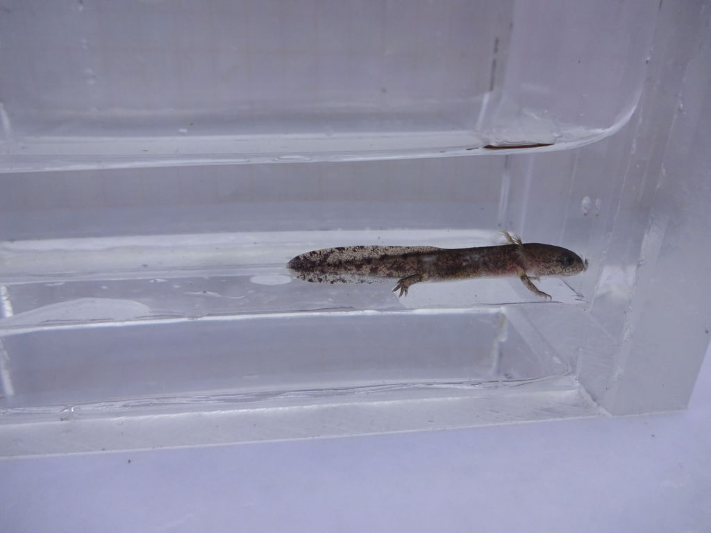 01907b9e-5efa-4886-b0d8-27d9a07da983