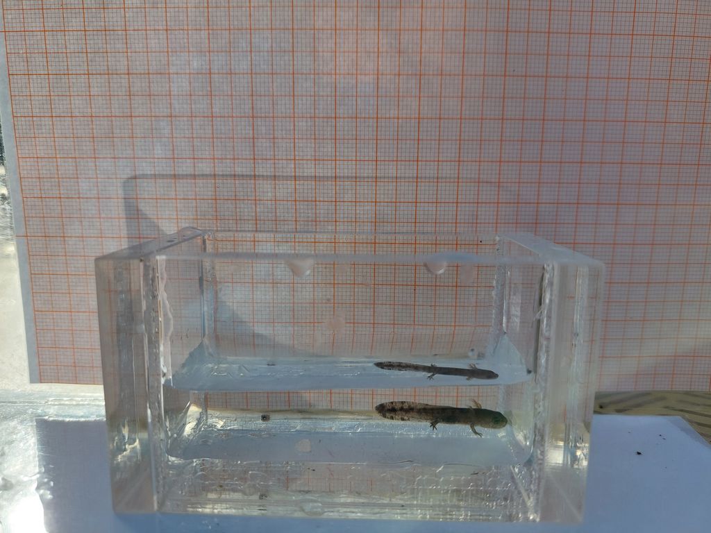 394b2b06-a9d6-431e-a9ca-adf594b51e55