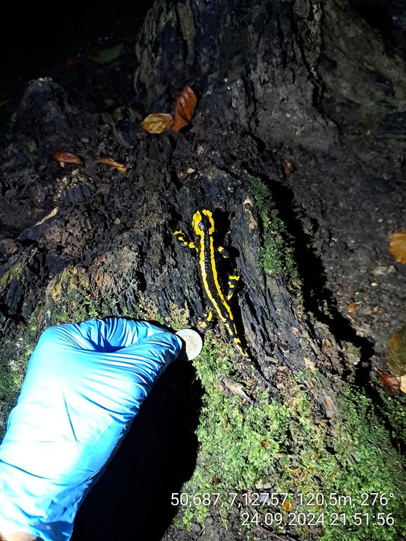 689c7f7d-45c5-477a-9b22-61d7e646d755