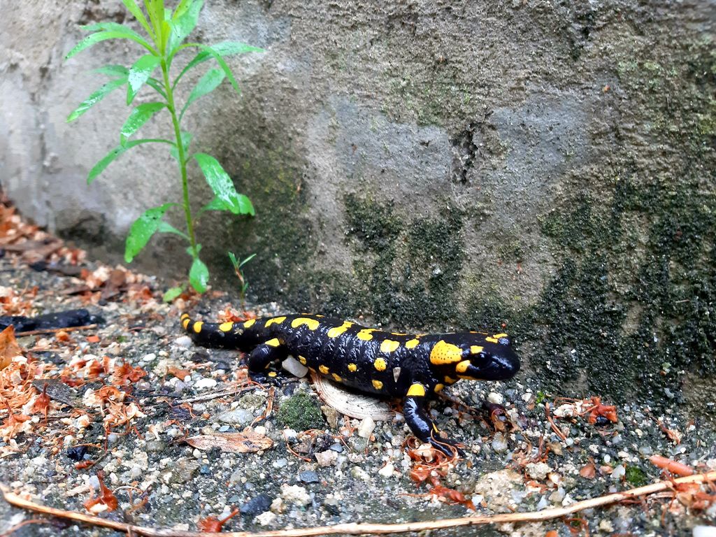 46e3d265-9254-4d99-9995-34f43bf79575