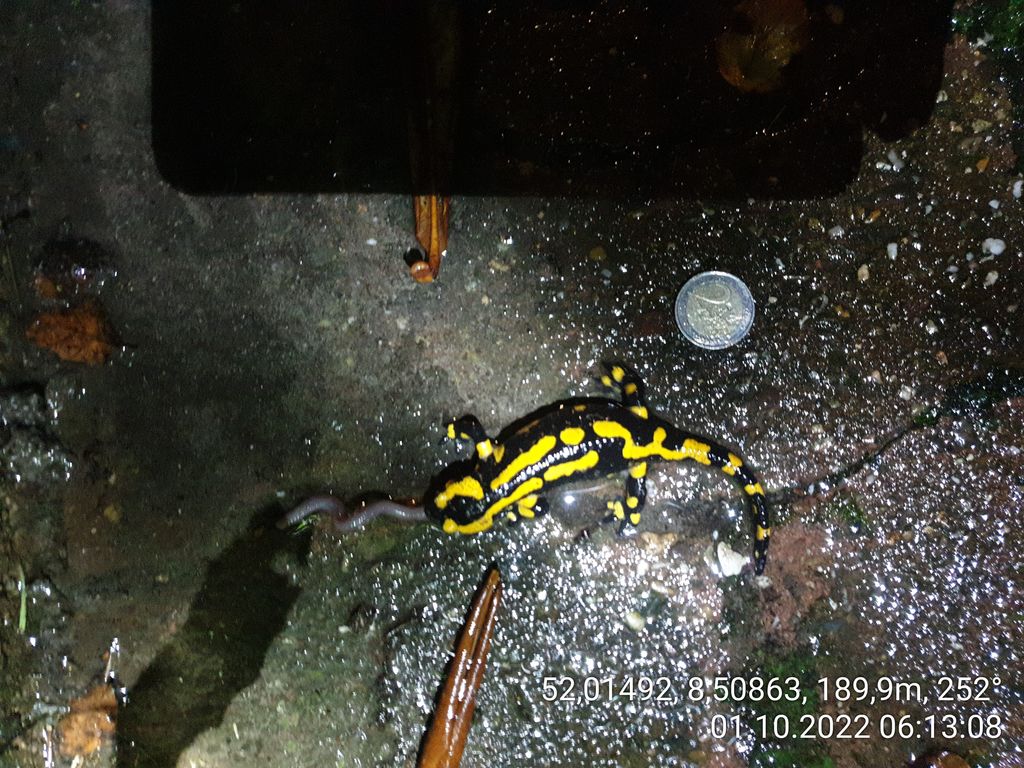 e7e0a1e9-991c-44fb-b25d-06b8650658ef