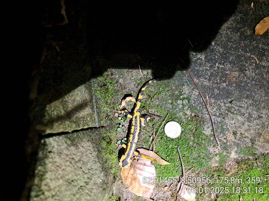 c556fdec-b9b8-4b14-93d7-d2213b527293