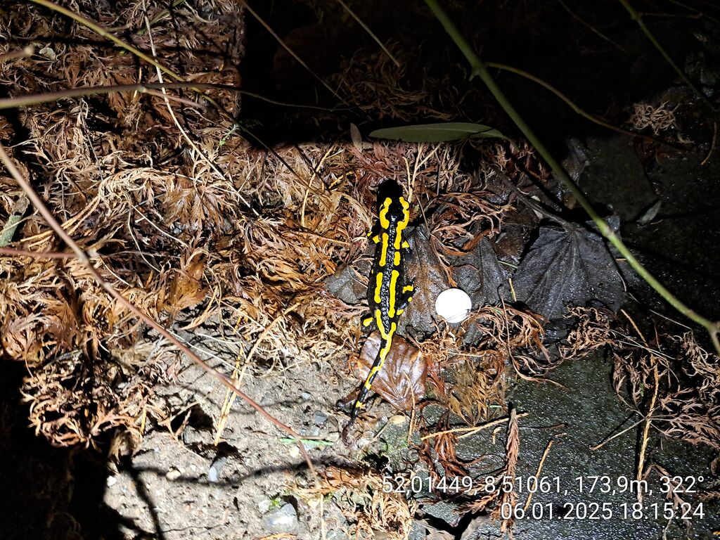 f279ed39-a594-4361-b67c-a083b28af58e