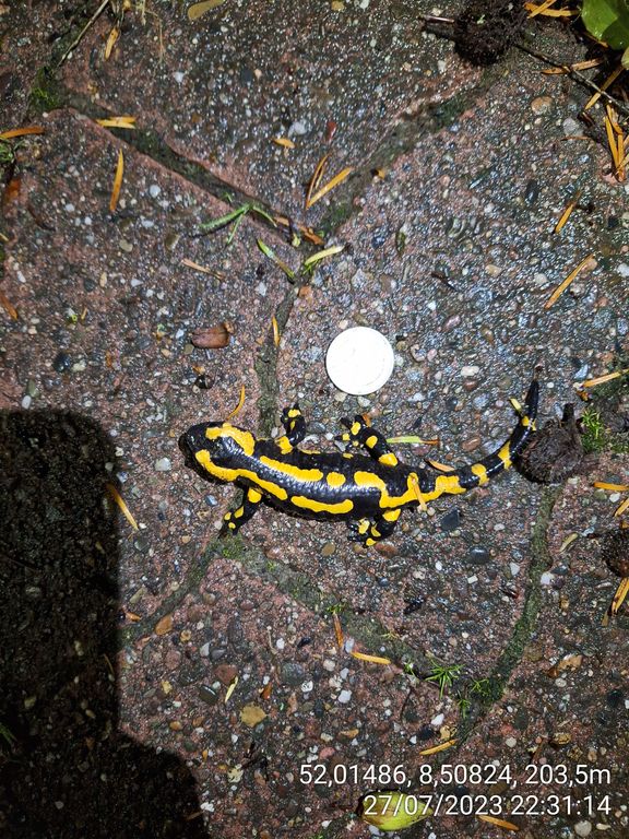 e7e0a1e9-991c-44fb-b25d-06b8650658ef