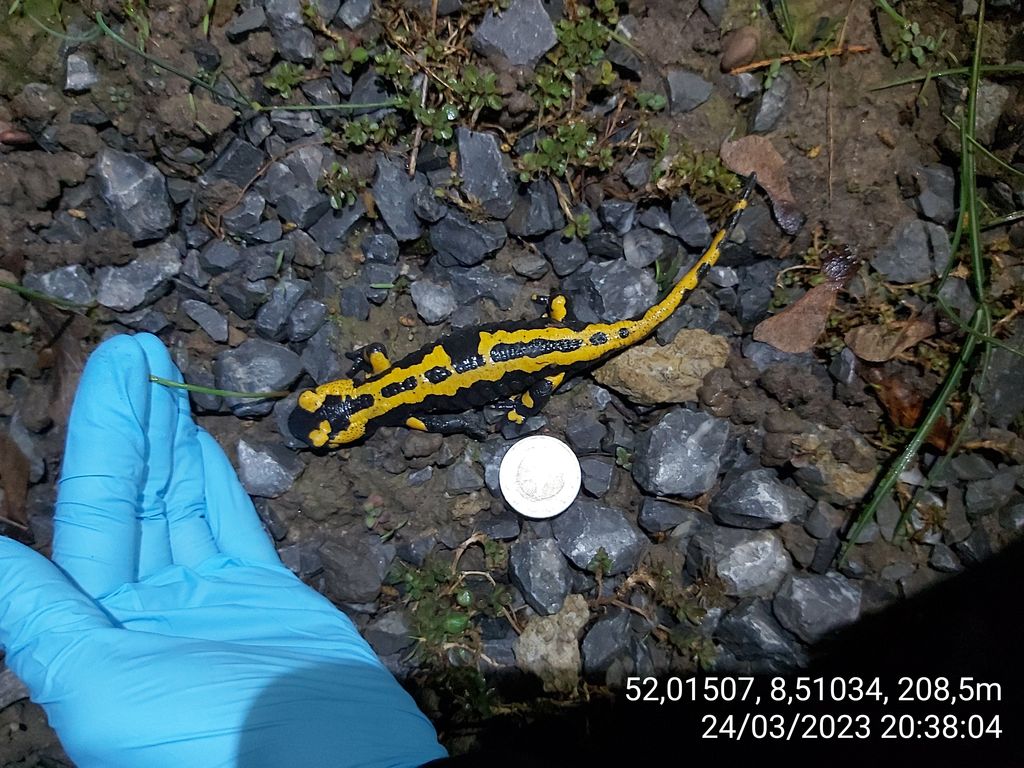 b5d56151-1017-43c9-ae8f-df486e05a54d